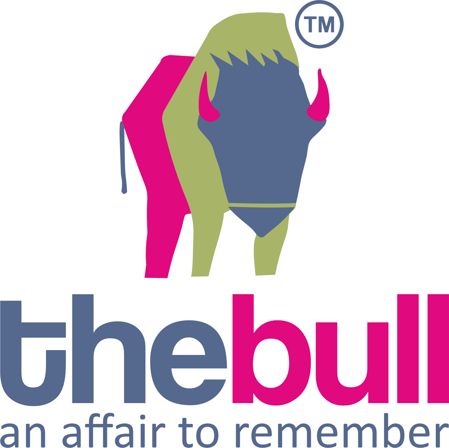 thebull Logo