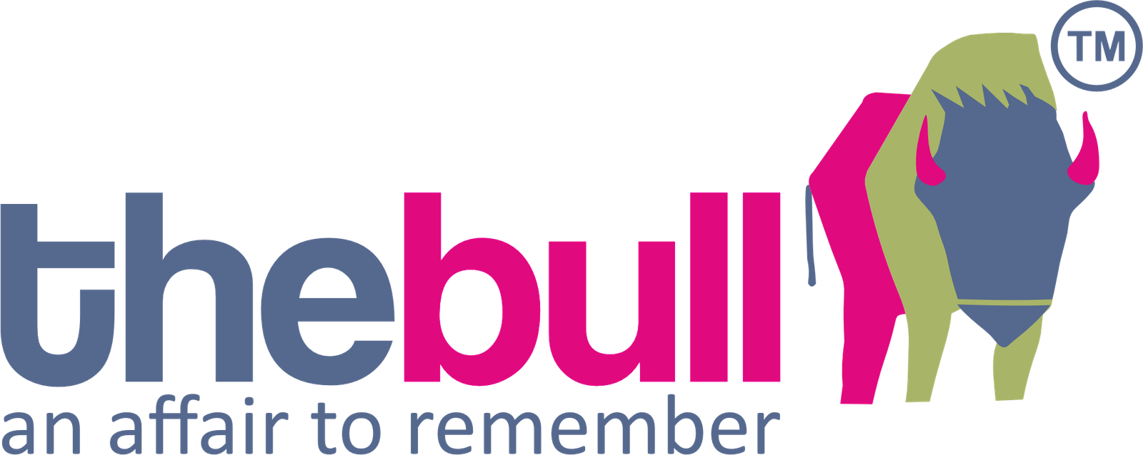 thebull Logo